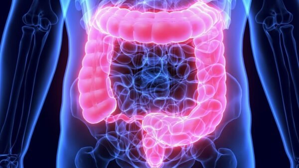 Peptides for Gut Health - Consultation