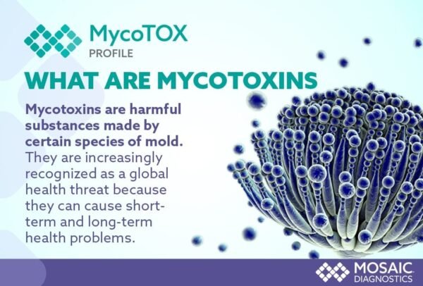 Urine Test of Mycotoxins - Image 2
